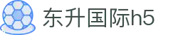 东升国际h5